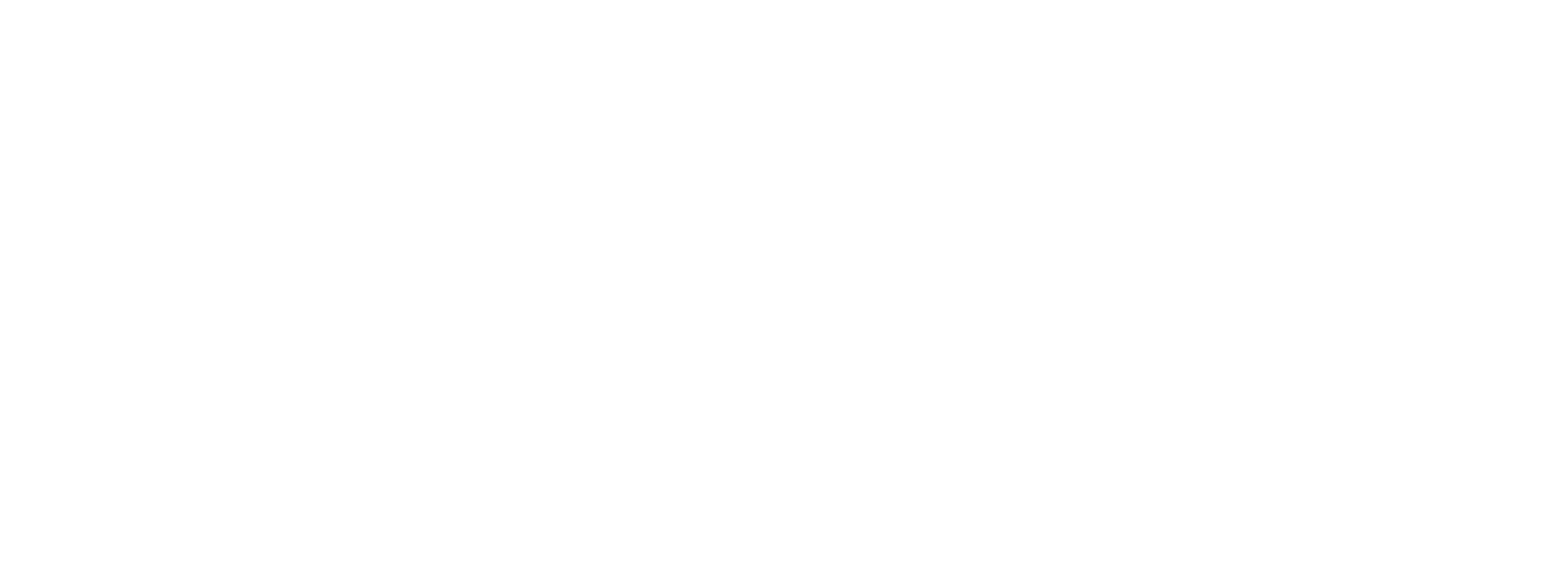 Polimeros